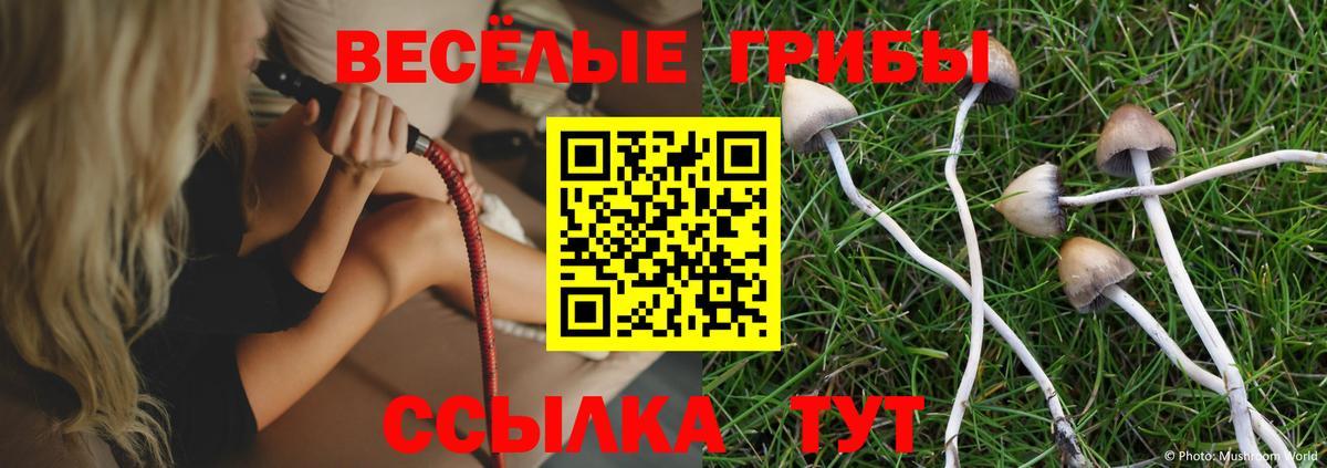 купить  сайты  Вход с VPN  Галлюциногенные грибы мицелий  Гусев  Псилоцибиновые грибы Cubensis 