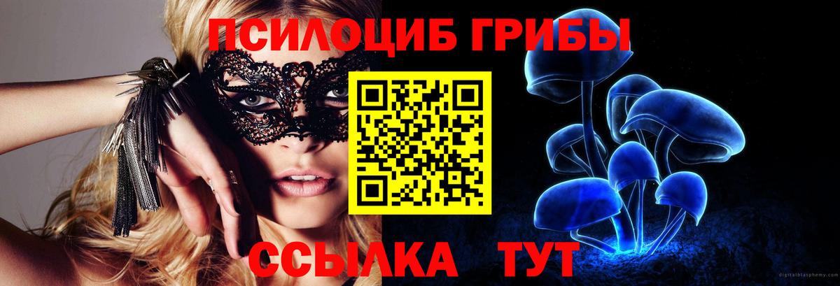 Галлюциногенные грибы MAGIC MUSHROOMS Гусев