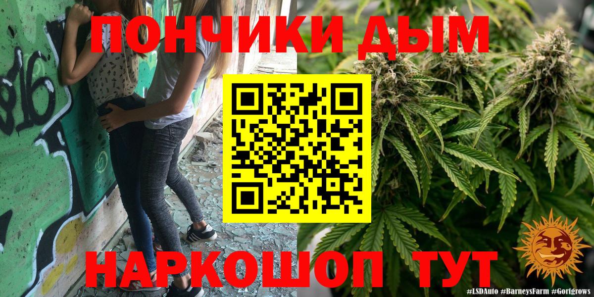 Каннабис конопля Гусев